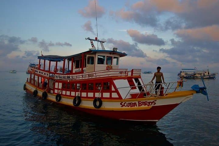 PADI Open Water Diver Course Koh Samui & Koh Tao — 3-Day Certification in the Gulf of Thailand photo 2