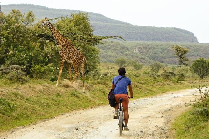Crater Rim Hike and Rift Valley Wildlife: Overnight Mount Longonot & Hells Gate from Nairobi