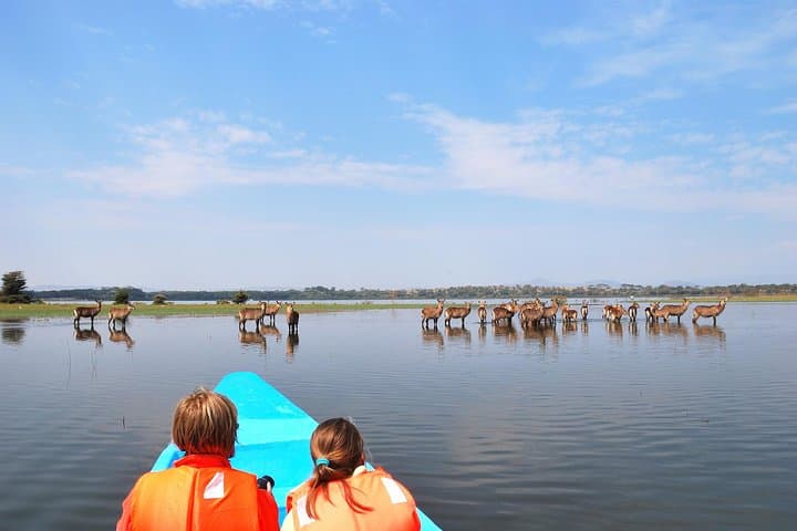 Hells Gate and Lake Naivasha Day Trip from Nairobi — Bike Through Rift Valley Gorges