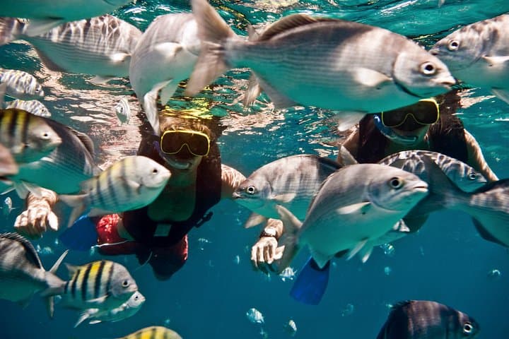 Sunset Catamaran Snorkel Cruise in Carlisle Bay, Barbados photo 2