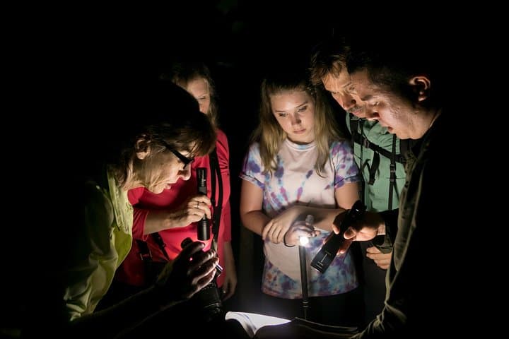 Manuel Antonio Night Jungle Tour: Guided Nocturnal Wildlife Search