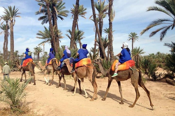 Palm Grove Camel Ride Near Marrakech: Half-Day Camel Trek & Berber Tea photo 3