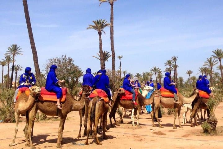 Palm Grove Camel Ride Near Marrakech: Half-Day Camel Trek & Berber Tea photo 4