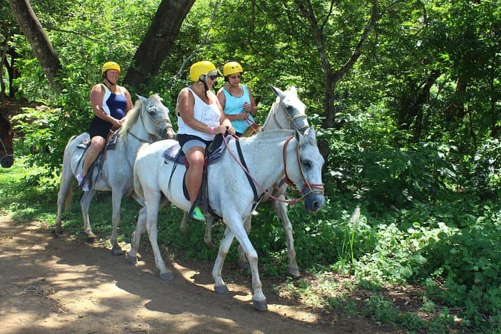 Playa Flamingo Horseback Riding: Jungle-to-Beach Coastal Trail photo 4