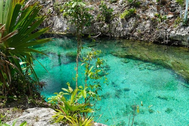 Coba, Tulum & Cenote Combo Tour — Full-Day Archaeology, Swim and Mayan Ceremony from Playa del Carmen photo 3