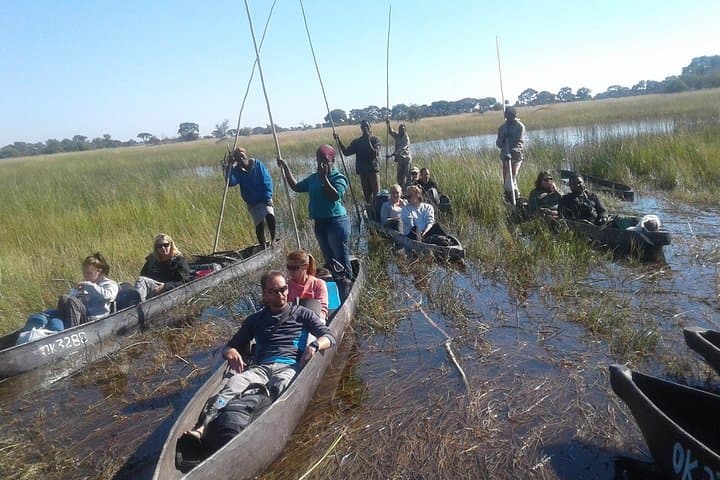 Mokoro Day Trip — Okavango Delta Dugout Canoe Safari from Maun