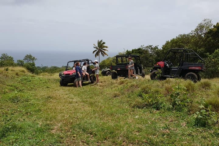 Dune Buggy and Beach Tour in St Kitts: Jungle Bikes Off-Road Adventure photo 2