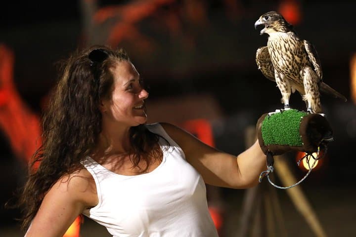 Abu Dhabi Desert Safari: Dune Bashing, Sandboarding & Bedouin BBQ Experience photo 6