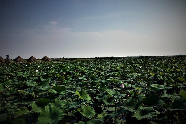 Siem Reap Bike Tour & Chong Khneas Floating Village Cruise: 25km Cultural Loop photo 2