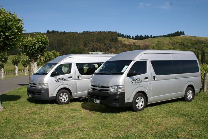 Half-Day Hawke's Bay Wine Tour from Napier — Small-Group Tastings & Cheeseboard photo 3