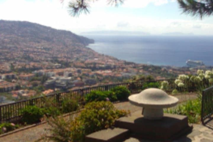 Funchal Shore Excursion: Private Tour to Nuns Valley (Curral das Freiras)