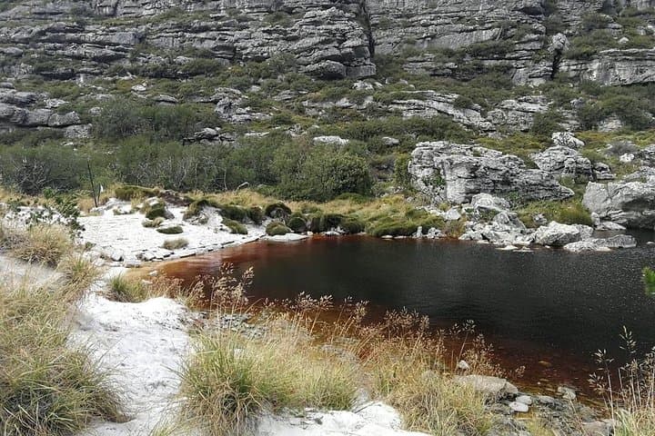 Skeleton Gorge Sunrise Hike — Table Mountain via Kirstenbosch photo 5