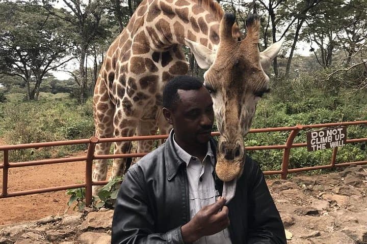 Giraffe Center Half-Day Trip from Nairobi: Feed Rothschild Giraffes & Walk the Gogo River Trail photo 2