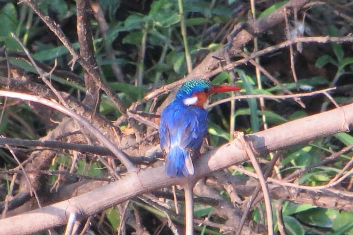 Zambezi Sunset Cruise and Victoria Falls Guided Tour Combo photo 5