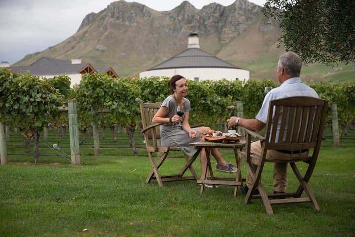Half-Day Hawke's Bay Wine Tour from Napier — Small-Group Tastings & Cheeseboard