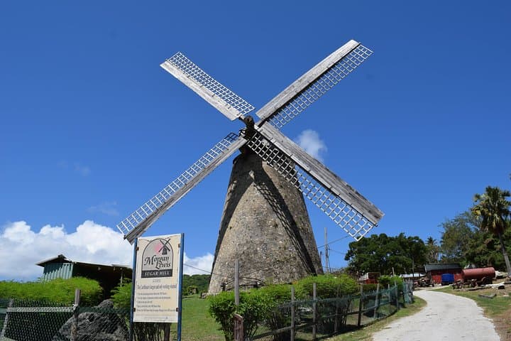barbados-paradise-sightseeing-tour-carlisle-bay-and-east-coast photo 4
