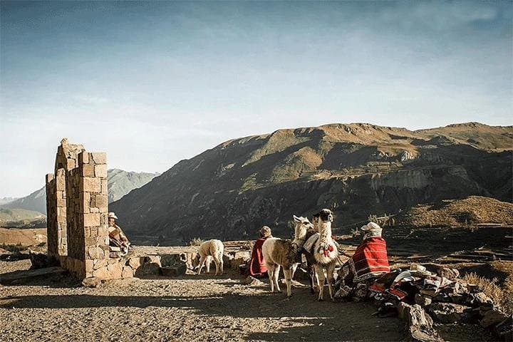 Colca Canyon Trek: 3-Day Cabanaconde to Sangalle Oasis Adventure photo 4