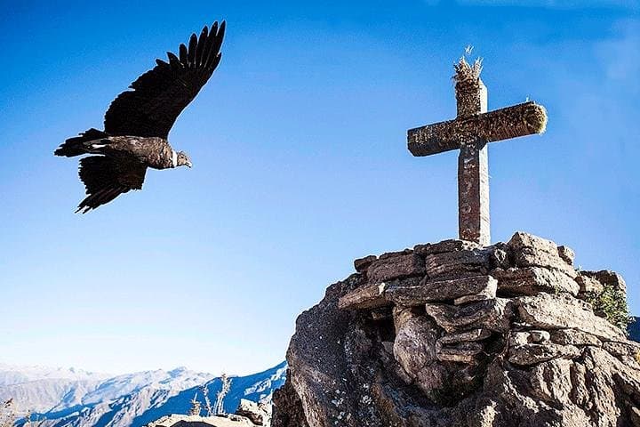 Colca Canyon Trek: 3-Day Cabanaconde to Sangalle Oasis Adventure photo 6