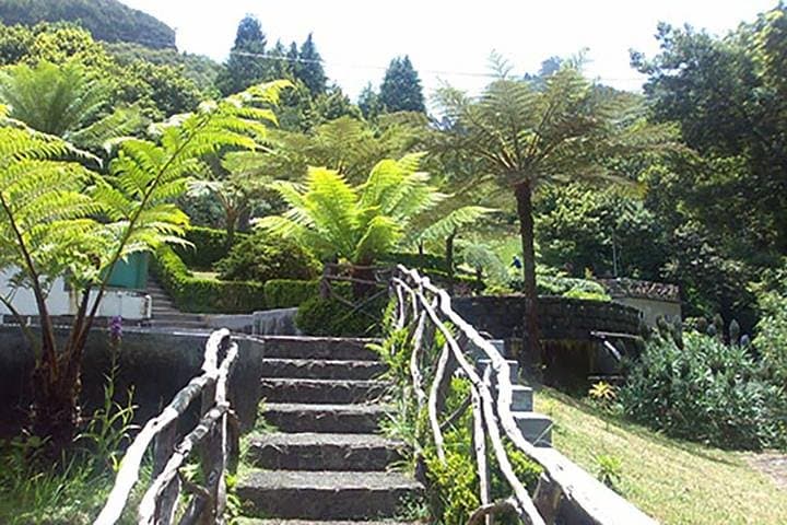 Madeira North-East Coast Tour: Santana, Ponta de São Lourenço & Coastal Villages photo 5