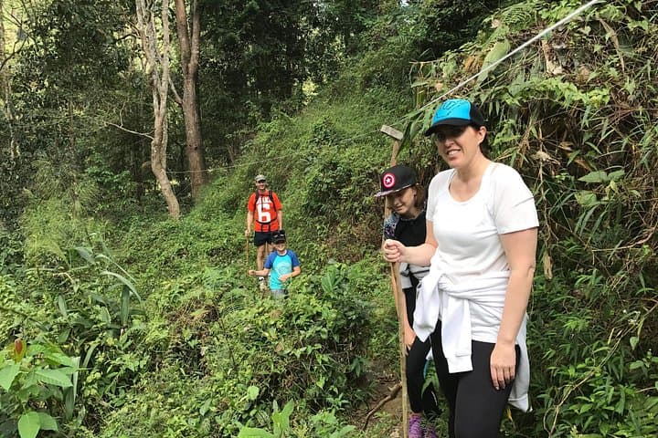 Private 3-Hour Hike North of Chiang Mai — Orchid Farm, Chiang Dao Cave & Waterfall photo 4