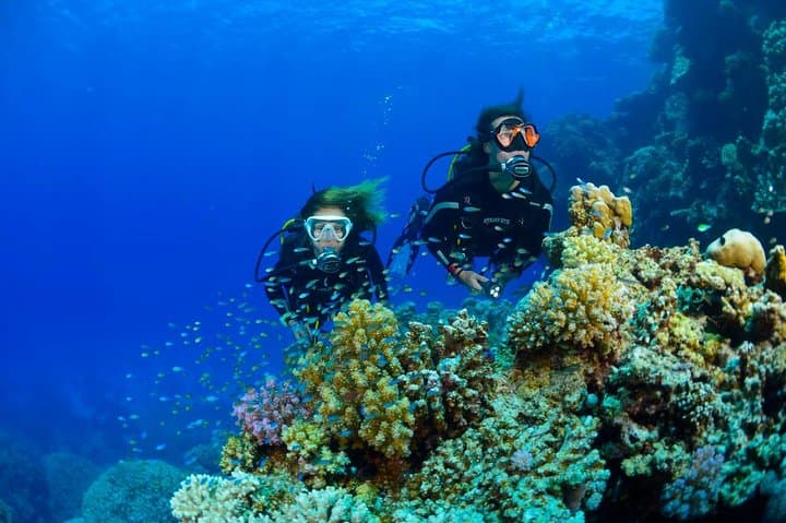 Beginner Scuba Day Trip to Racha Yai from Phuket — Private Tuition & Two Dives photo 2