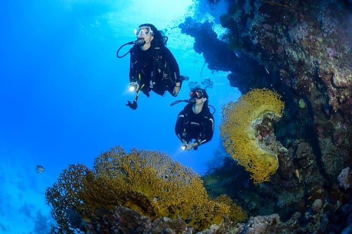 Beginner Scuba Day Trip to Racha Yai from Phuket — Private Tuition & Two Dives photo 4