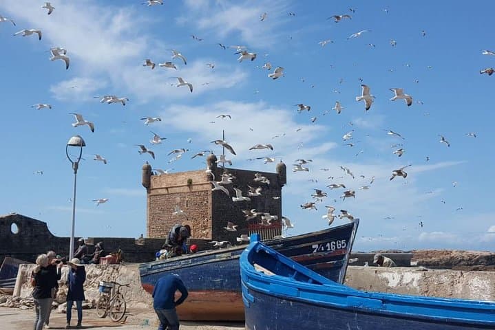 Marrakech to Essaouira: Private Day Trip to the Atlantic Port photo 6