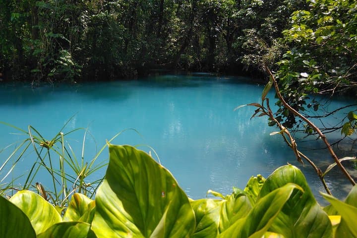 Rio Celeste Waterfall & Sloth Encounter Tour — Tenorio National Park Day Trip photo 3