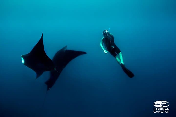 Swim with Whale Sharks & Relax at Isla Mujeres — Cancun Day Trip photo 6