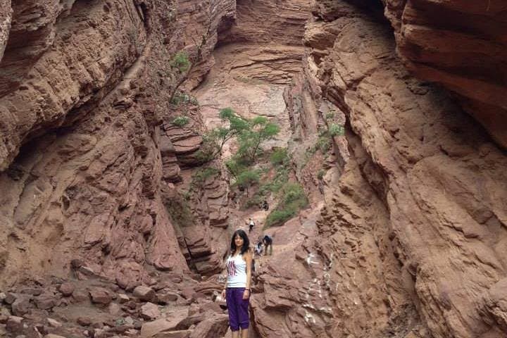 Cafayate Day Trip from Salta: Lerma Valley, Quebrada de las Conchas & Wine Tasting photo 6