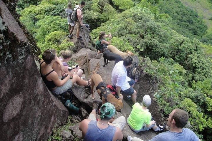 Mount Liamuiga Volcano Crater Hike — 360° Summit Views in St Kitts photo 3