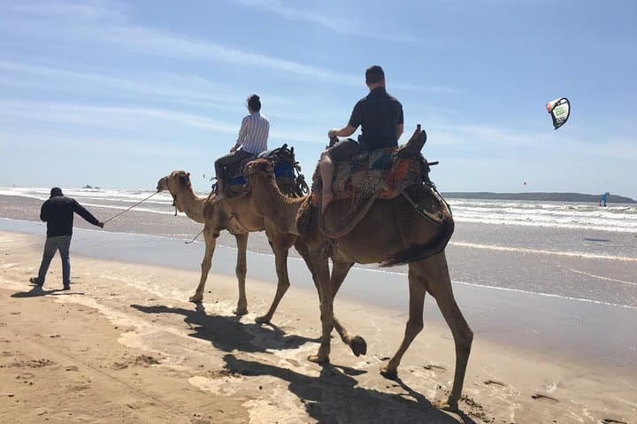 Essaouira Day Trip from Marrakech: Mogador Coastal Excursion photo 5