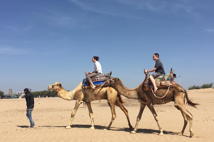 Essaouira Day Trip from Marrakech: Mogador Coastal Excursion photo 6