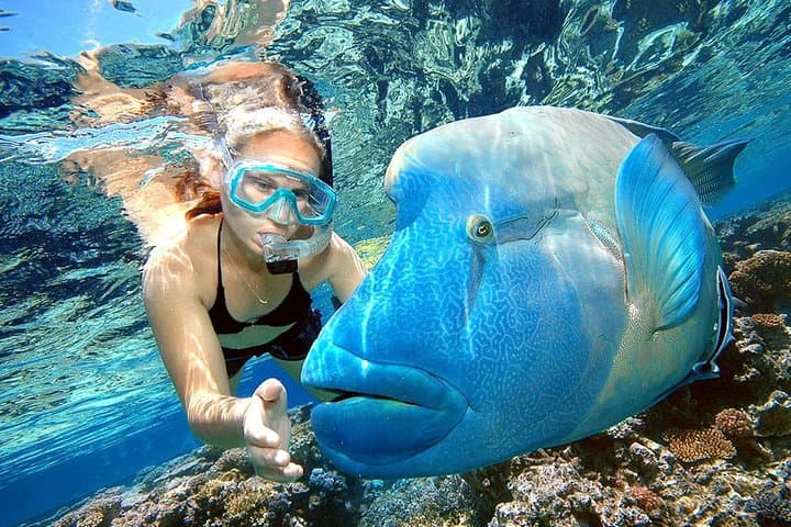 Experience the Ultimate Punta Cana Adventure: Snorkeling, Catamaran & Parasailing photo 4