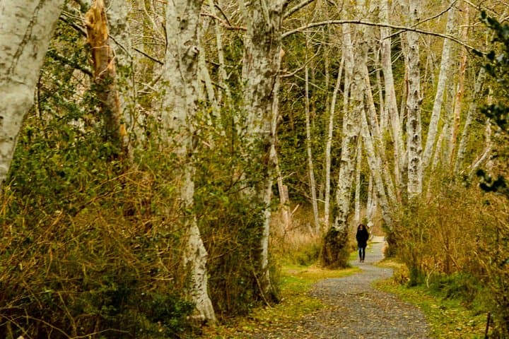Ferry, Forest & Frame: Bowen Island Photography Hike from Vancouver photo 6