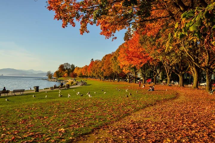 Vancouver Photography and North Shore Hiking: Full-Day Photo Tour photo 4