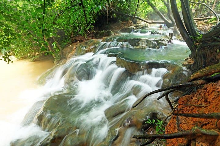 Krabi Emerald Pool, Hot Springs and Tiger Temple: Full-Day Natural Springs & Temple Tour photo 4