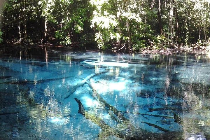Krabi Emerald Pool, Hot Springs and Tiger Temple: Full-Day Natural Springs & Temple Tour photo 2
