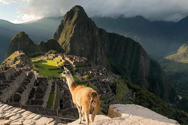 Machu Picchu One-Day Panoramic Train Tour from Cusco photo 6