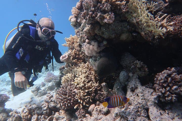 Hurghada Daily Scuba Dive Trip — Red Sea Two-Dive Adventure photo 3