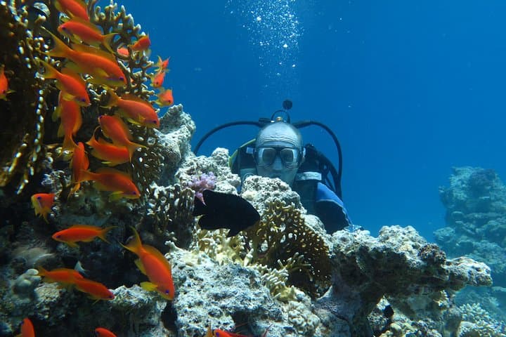 Hurghada Daily Scuba Dive Trip — Red Sea Two-Dive Adventure photo 5
