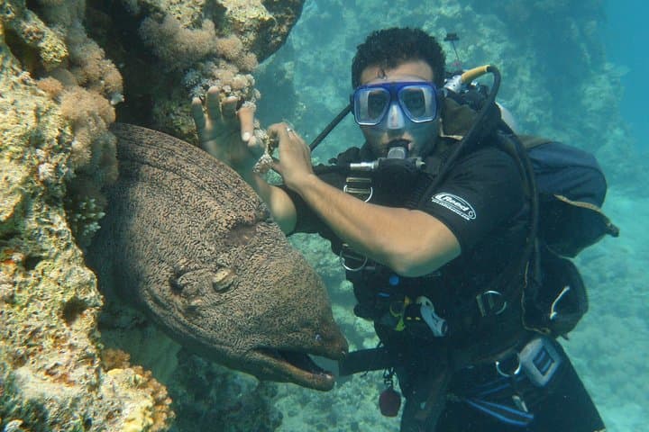 Hurghada Daily Scuba Dive Trip — Red Sea Two-Dive Adventure photo 6