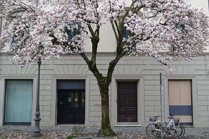 Half-Day Guided Bike Tour of Lucca — Ride the Renaissance Walls photo 2