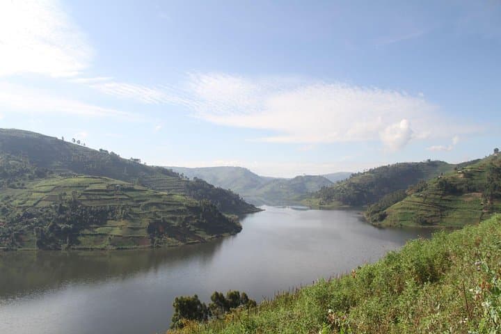 3-Day Bwindi Gorilla Trekking Tour from Kampala — Mountain Gorillas in Uganda photo 3