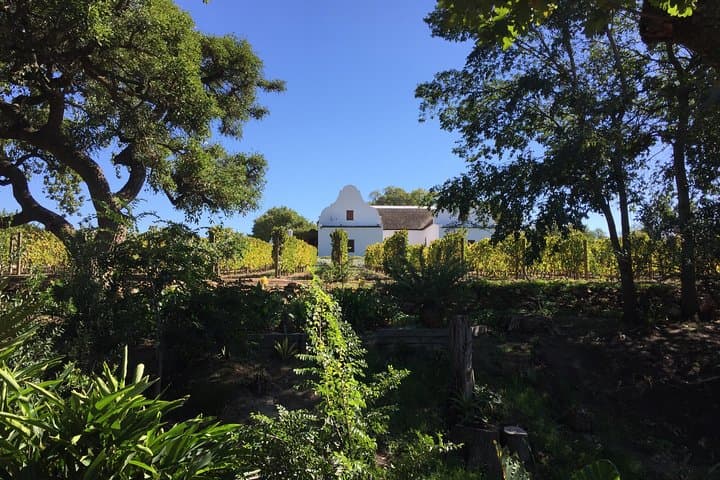 Cape Winelands Day Trip: Stellenbosch, Franschhoek & Paarl Wine Tour from Cape Town photo 3