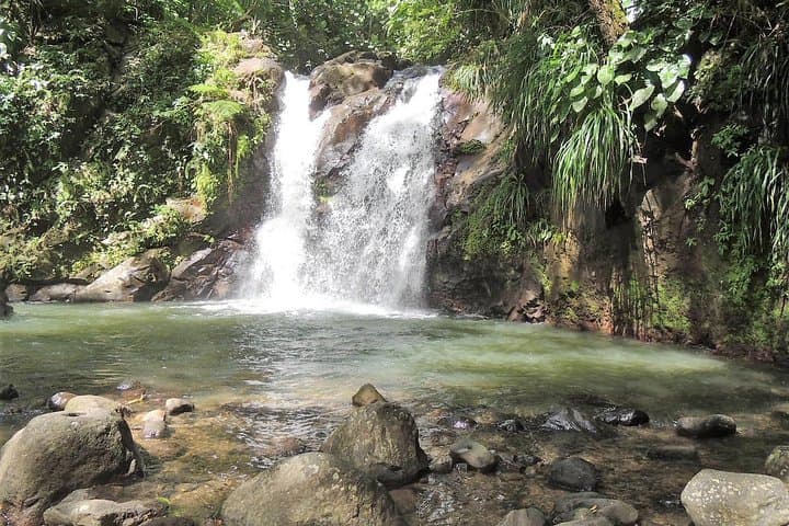 North Martinique Day Tour: Rainforest Waterfall, Rum & Saint-Pierre Ruins