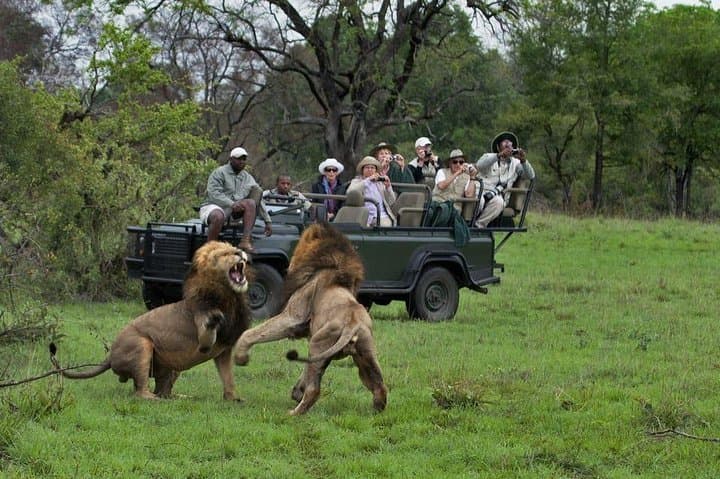 Aquila 2-Day Overnight Safari from Cape Town: Big Five Game Drive Experience