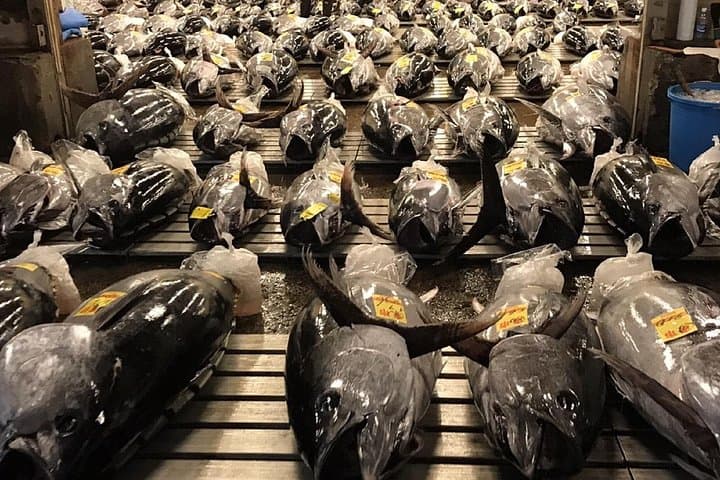 Dawn at Toyosu: Insider Tuna Auction & Market Tour photo 2
