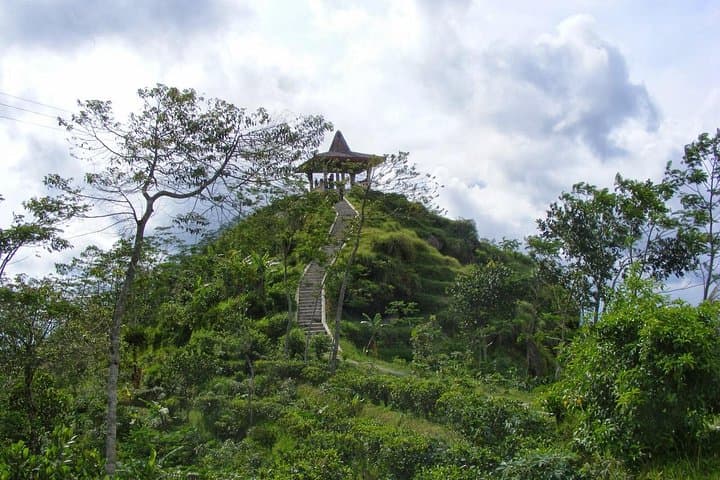 Half-Day Menoreh Hill Trek from Borobudur: Views, Villages & Coffee Plantations photo 1