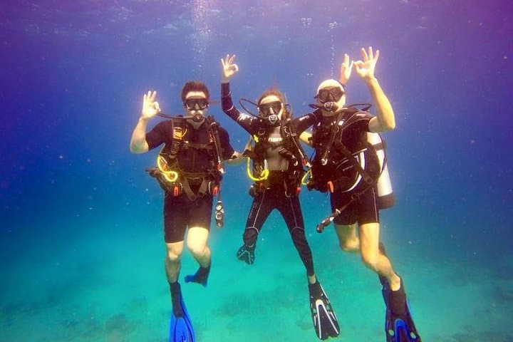Discover Scuba Diving in St. Thomas: First-Timer Boat Dives and Snorkel Stops photo 2